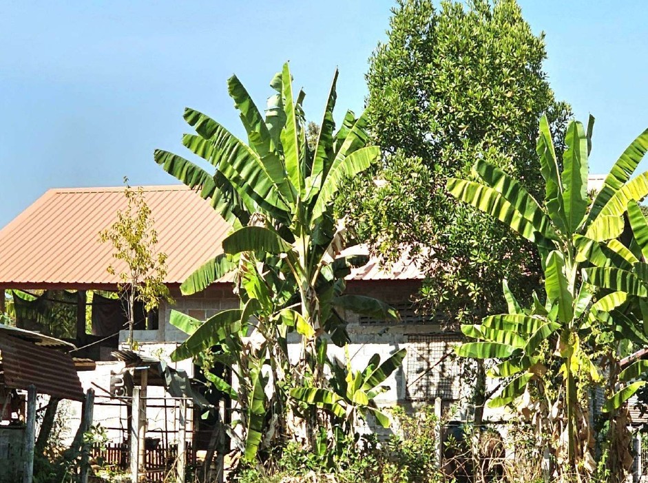 ขายทอดตลาด ที่ดินพร้อมสิ่งปลูกสร้าง ต.ขมิ้น อ.เมืองสกลนคร จ.สกลนคร