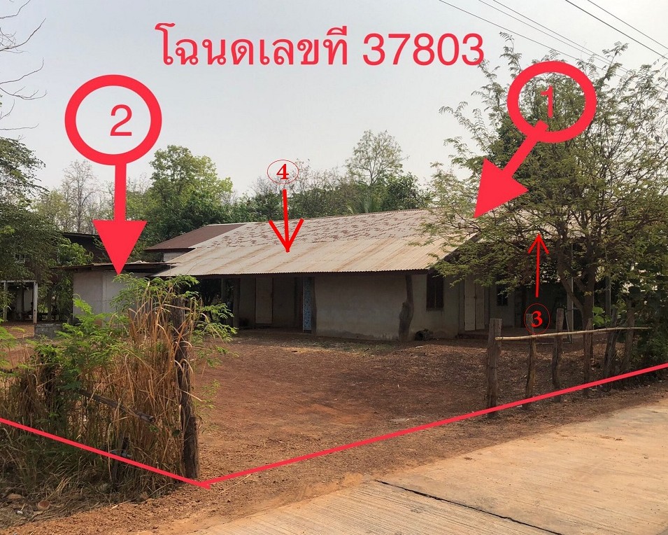 ขายทอดตลาด ที่ดินพร้อมสิ่งปลูกสร้าง ต.บะหว้า อ.อากาศอำนวย จ.สกลนคร