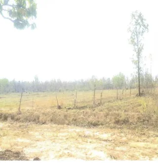 รูปทรัพย์ 11
