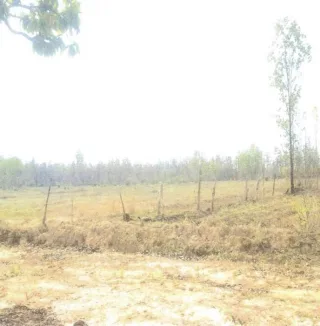 รูปทรัพย์ 12