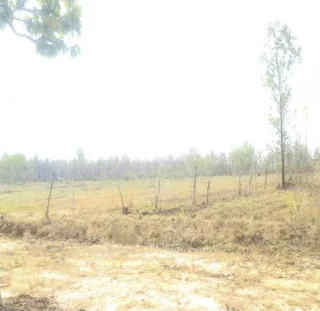 รูปทรัพย์ 13