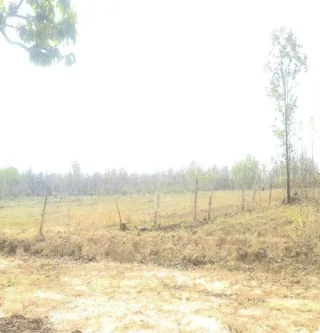 รูปทรัพย์ 14