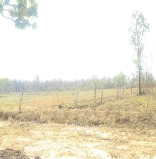 รูปทรัพย์ 15