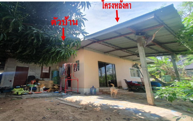 ขายทอดตลาด ที่ดินพร้อมสิ่งปลูกสร้าง ต.พลา อ.บ้านฉาง จ.ระยอง