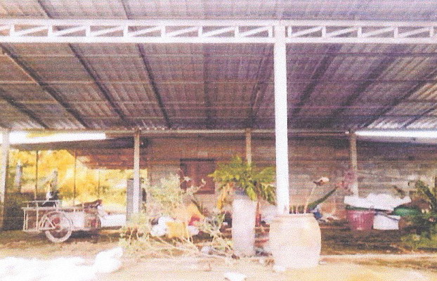ขายทอดตลาด ที่ดินพร้อมสิ่งปลูกสร้าง ต.ตะพง อ.เมืองระยอง จ.ระยอง
