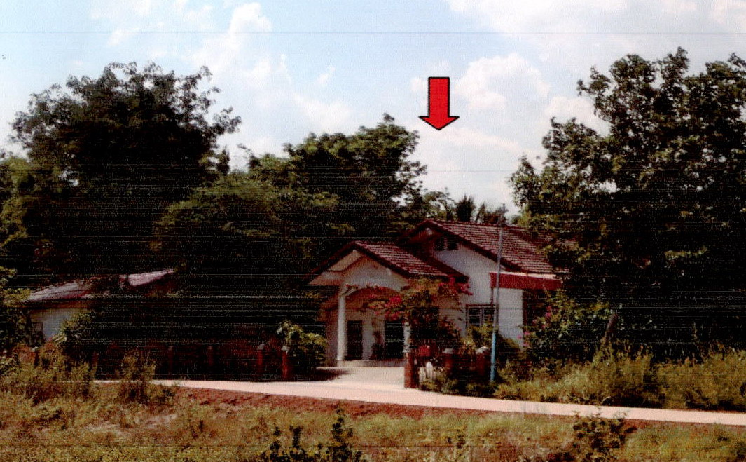 ขายทอดตลาด ที่ดินพร้อมสิ่งปลูกสร้าง ต.บัวขาว อ.กุฉินารายณ์ จ.กาฬสินธุ์