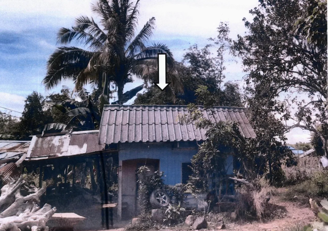 ขายทอดตลาด ที่ดินพร้อมสิ่งปลูกสร้าง ต.ทุ่งลาน อ.กิ่งอำเภอคลองหอยโข่ง จ.สงขลา