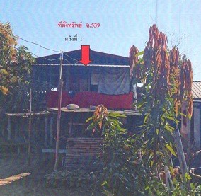 ขายทอดตลาด ที่ดินพร้อมสิ่งปลูกสร้าง ต.แมดนาท่ม อ.โคกศรีสุพรรณ จ.สกลนคร