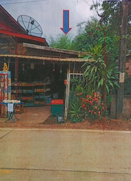 ขายทอดตลาด ที่ดินพร้อมสิ่งปลูกสร้าง ต.อุ่มจาน อ.กุสุมาลย์ จ.สกลนคร