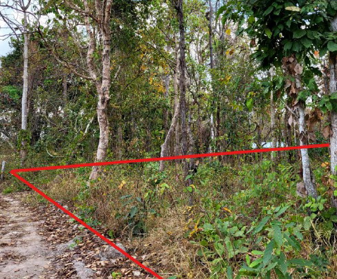 ขายทอดตลาด ที่ดินว่างเปล่า ต.ด่านม่วงคำ อ.โคกศรีสุพรรณ จ.สกลนคร