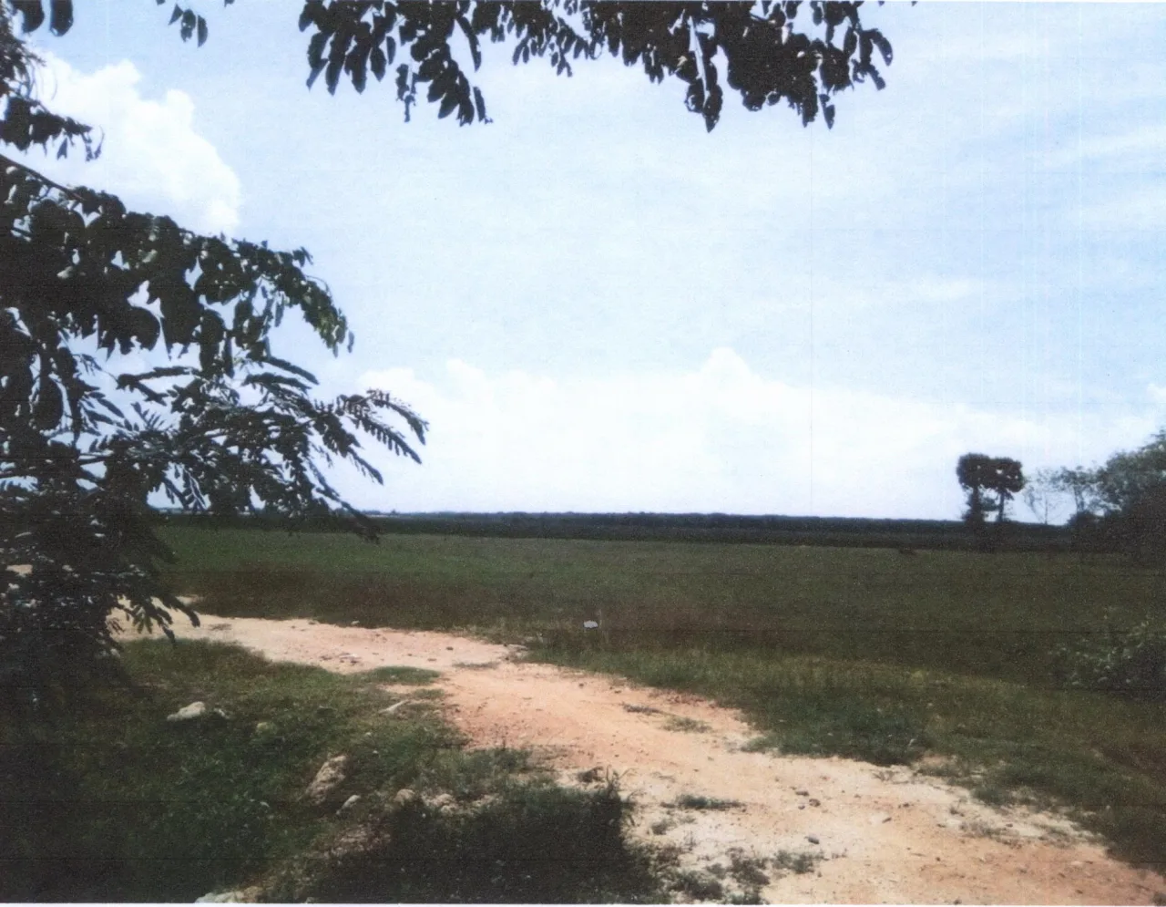ขายทอดตลาด ที่ดินว่างเปล่า ต.น้ำน้อย อ.หาดใหญ่ จ.สงขลา