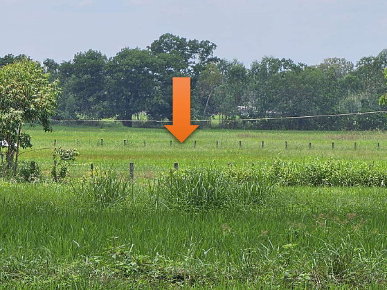 ขายทอดตลาด ที่ดินว่างเปล่า ต.โพนงาม อ.อากาศอำนวย จ.สกลนคร