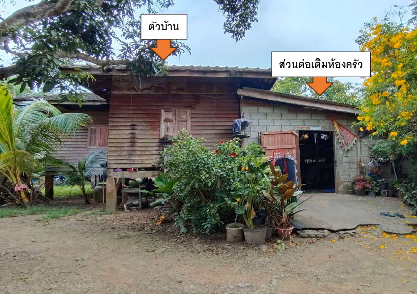 ขายทอดตลาด ที่ดินพร้อมสิ่งปลูกสร้าง ต.เพ อ.เมืองระยอง จ.ระยอง
