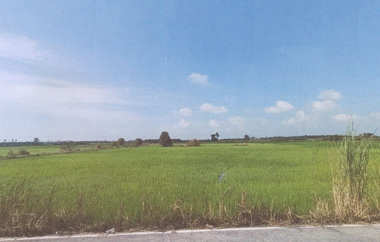 ขายทอดตลาด ที่ดินว่างเปล่า ต.บ้านใหม่ อ.ระโนด จ.สงขลา