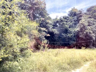 รูปทรัพย์ 2