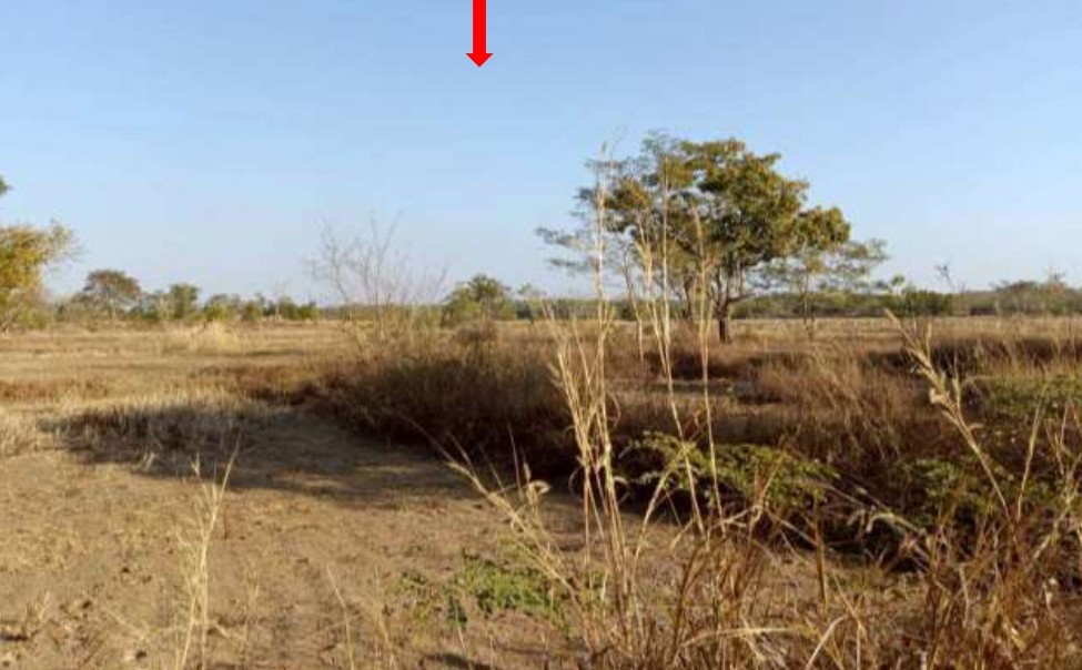 ขายทอดตลาด ที่ดินว่างเปล่า ต.อุ่มจาน อ.กุสุมาลย์ จ.สกลนคร