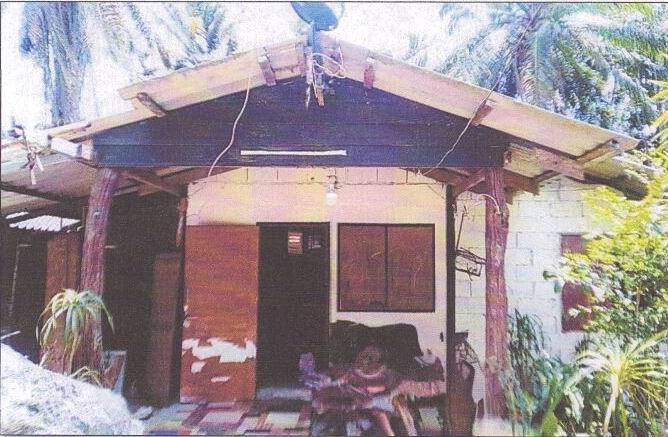 ขายทอดตลาด ที่ดินพร้อมสิ่งปลูกสร้าง ต.ปกาสัย อ.เหนือคลอง จ.กระบี่