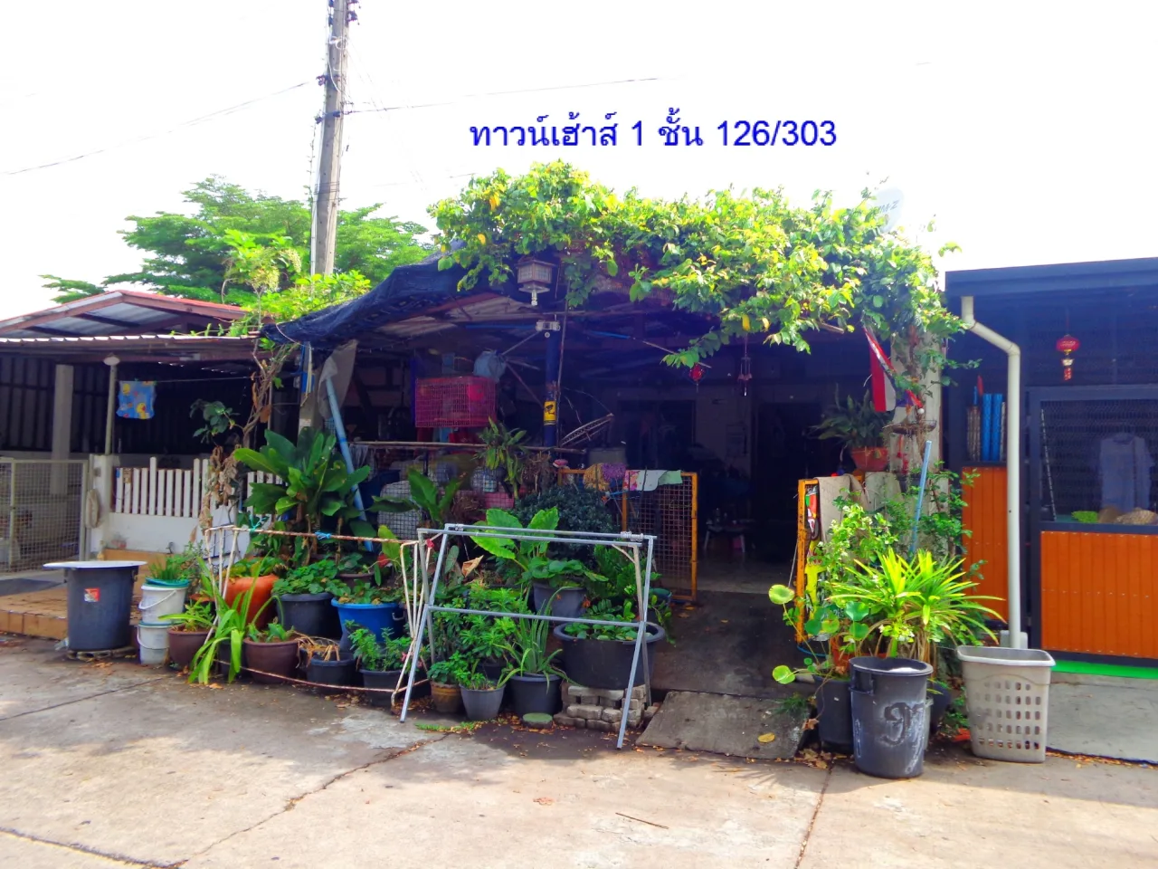 ขายทอดตลาด ที่ดินพร้อมสิ่งปลูกสร้าง ต.ทับมา อ.เมืองระยอง จ.ระยอง
