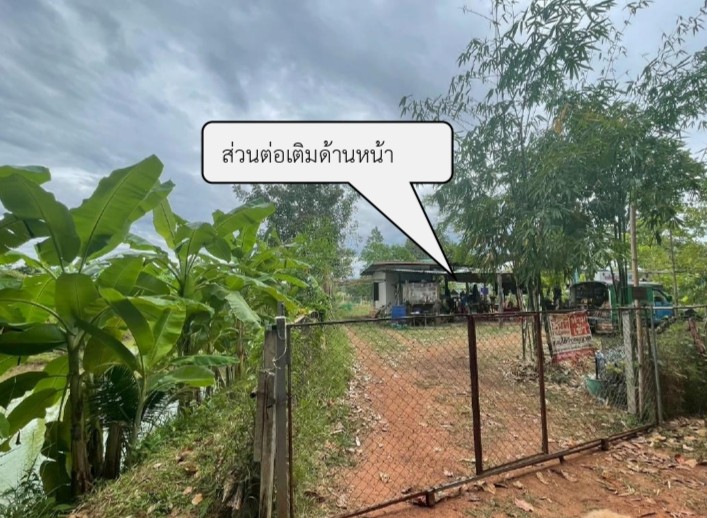 ขายทอดตลาด ที่ดินพร้อมสิ่งปลูกสร้าง ต.ช้างมิ่ง อ.พรรณานิคม จ.สกลนคร