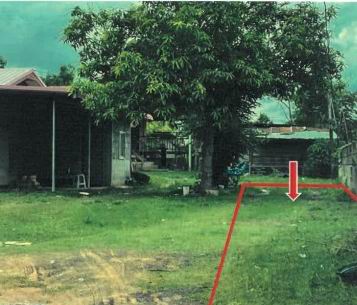 ขายทอดตลาด ที่ดินว่างเปล่า ต.หัวนาคำ อ.ยางตลาด จ.กาฬสินธุ์