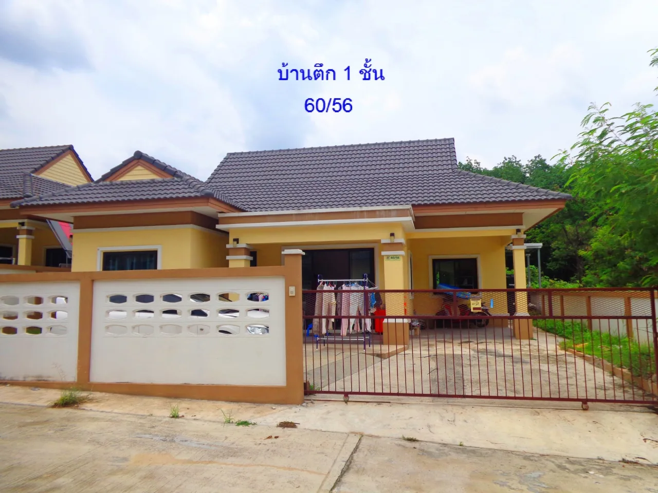 ขายทอดตลาด ที่ดินพร้อมสิ่งปลูกสร้าง ต.พนานิคม อ.นิคมพัฒนา จ.ระยอง