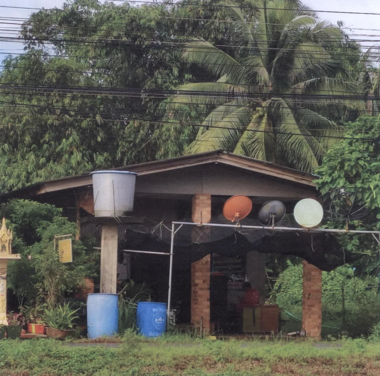 ขายทอดตลาด ที่ดินพร้อมสิ่งปลูกสร้าง ต.วัดจันทร์ อ.สทิงพระ จ.สงขลา