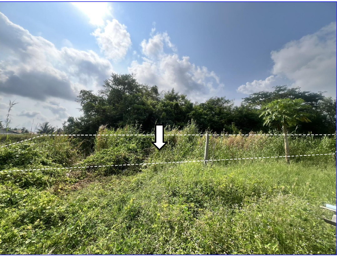 ขายทอดตลาด ที่ดินว่างเปล่า ต.ตะพง อ.เมืองระยอง จ.ระยอง