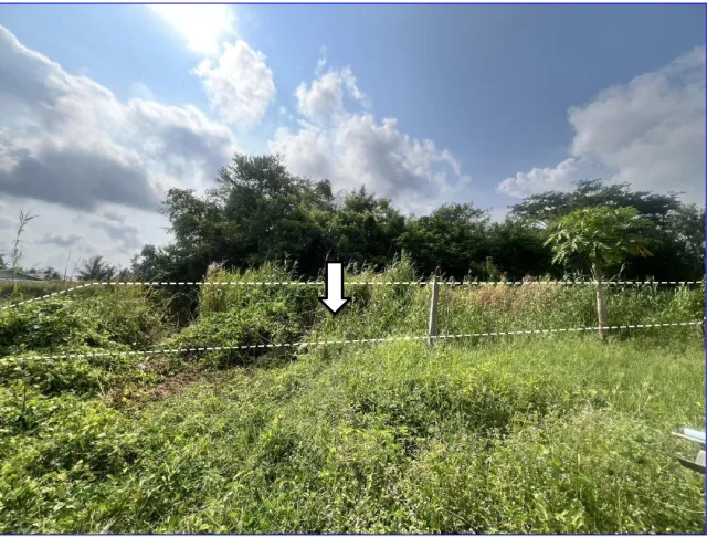 ขายทอดตลาด ที่ดินว่างเปล่า ต.ตะพง อ.เมืองระยอง จ.ระยอง