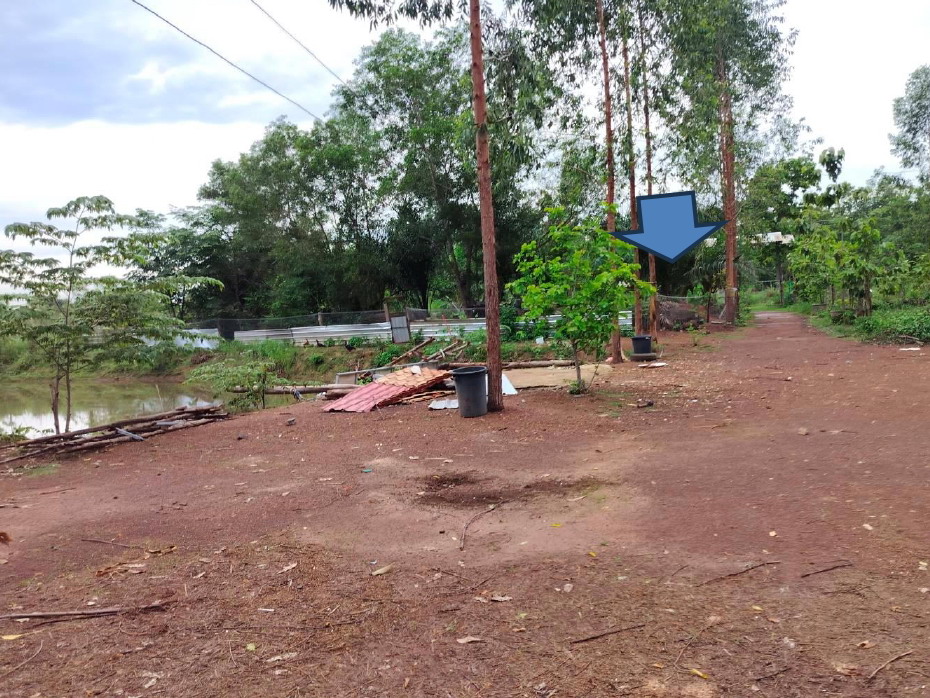 ขายทอดตลาด ที่ดินว่างเปล่า ต.บะหว้า อ.อากาศอำนวย จ.สกลนคร