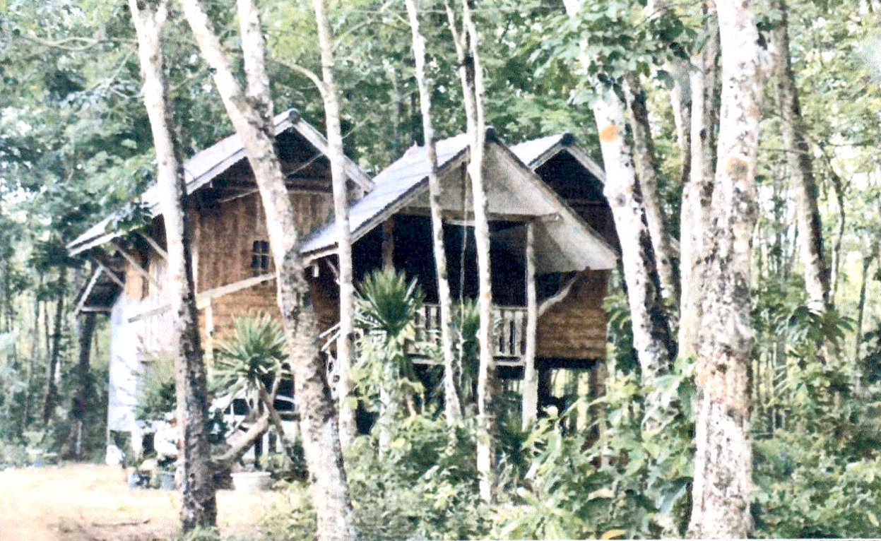 ขายทอดตลาด ที่ดินพร้อมสิ่งปลูกสร้าง ต.ควนลัง อ.หาดใหญ่ จ.สงขลา