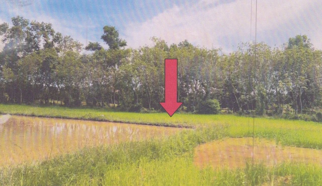ขายทอดตลาด ที่ดินว่างเปล่า ต.ทุ่งหวัง อ.เมืองสงขลา จ.สงขลา
