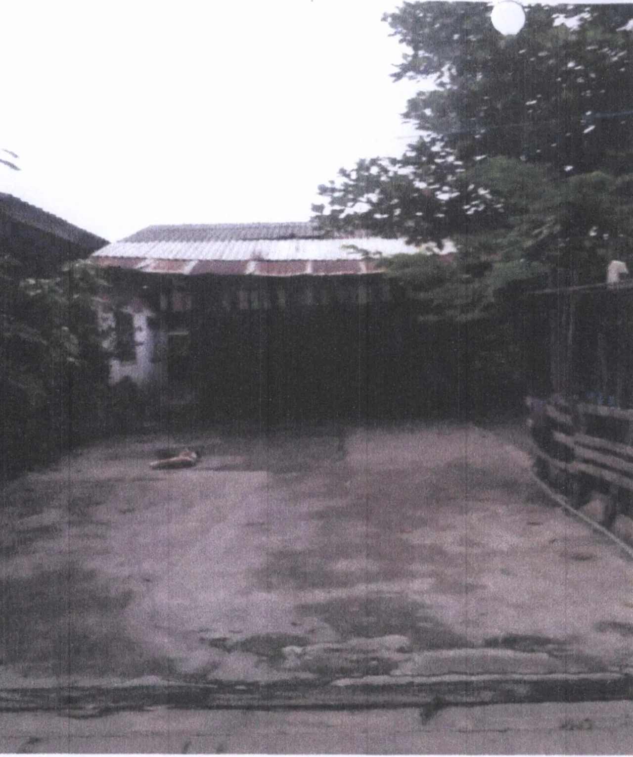 ขายทอดตลาด ที่ดินพร้อมสิ่งปลูกสร้าง ต.ม่วงงาม อ.สิงหนคร จ.สงขลา