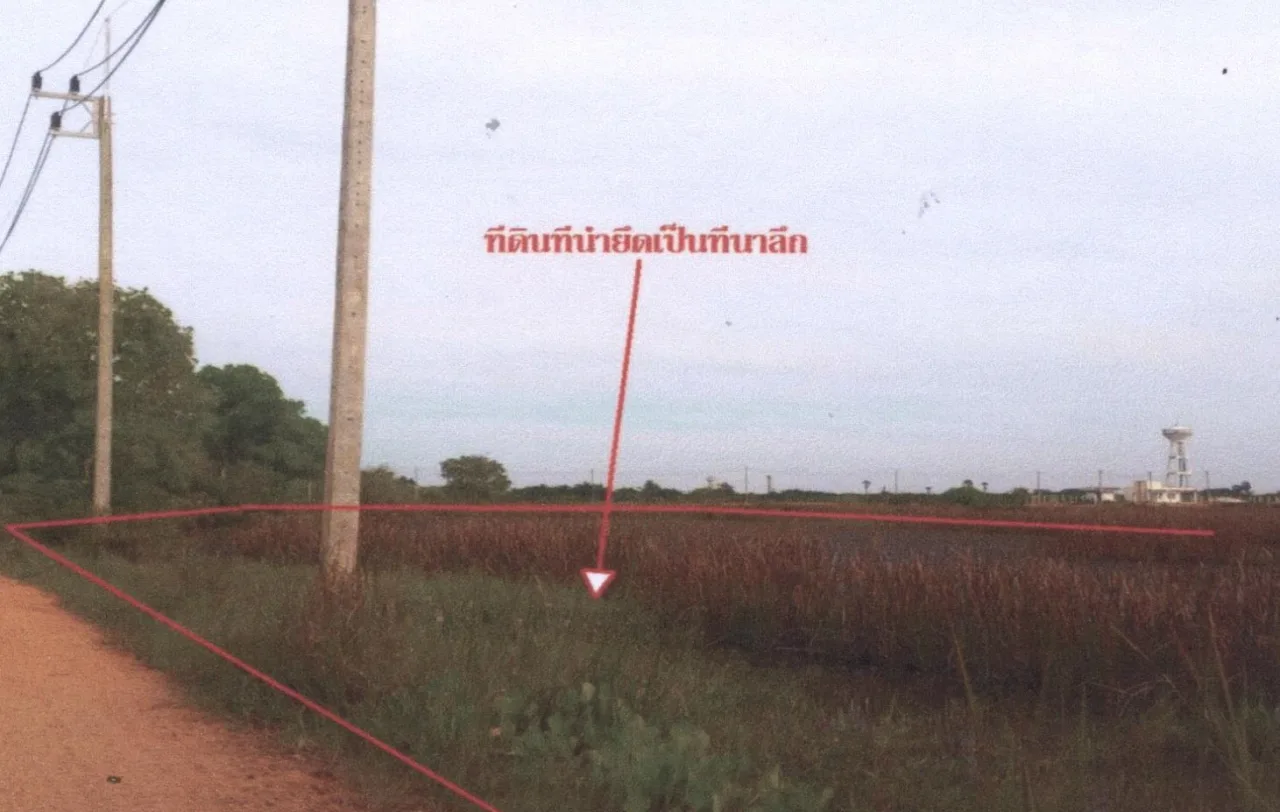 ขายทอดตลาด ที่ดินว่างเปล่า ต.ห้วยลึก อ.ควนเนียง จ.สงขลา