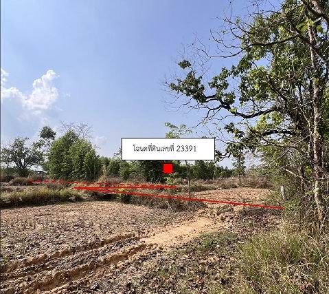 ขายทอดตลาด ที่ดินว่างเปล่า ต.สว่าง อ.พรรณานิคม จ.สกลนคร