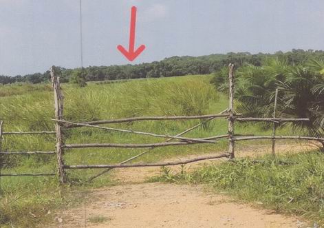 ขายทอดตลาด ที่ดินว่างเปล่า ต.ห้วยลึก อ.ควนเนียง จ.สงขลา