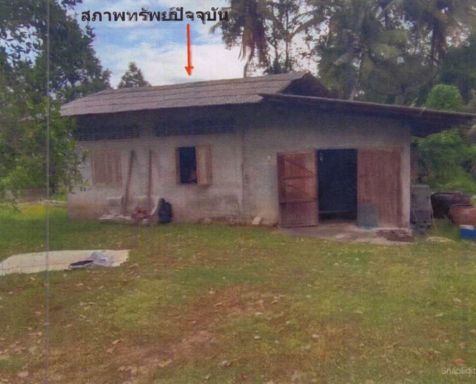 ขายทอดตลาด ที่ดินพร้อมสิ่งปลูกสร้าง ต.เกาะใหญ่ อ.กระแสสินธุ์ จ.สงขลา