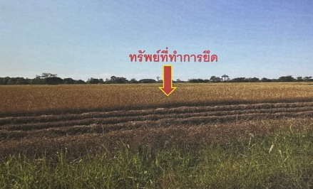 ขายทอดตลาด ที่ดินว่างเปล่า ต.นามน อ.นามน จ.กาฬสินธุ์