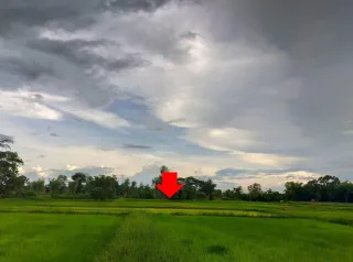 รูปทรัพย์ 2