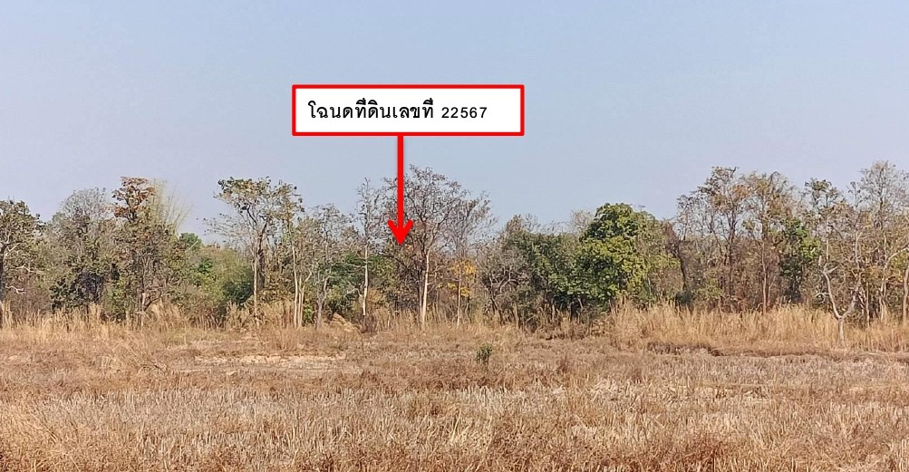 ขายทอดตลาด ที่ดินว่างเปล่า ต.สว่าง อ.พรรณานิคม จ.สกลนคร