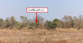 รูปทรัพย์ 1