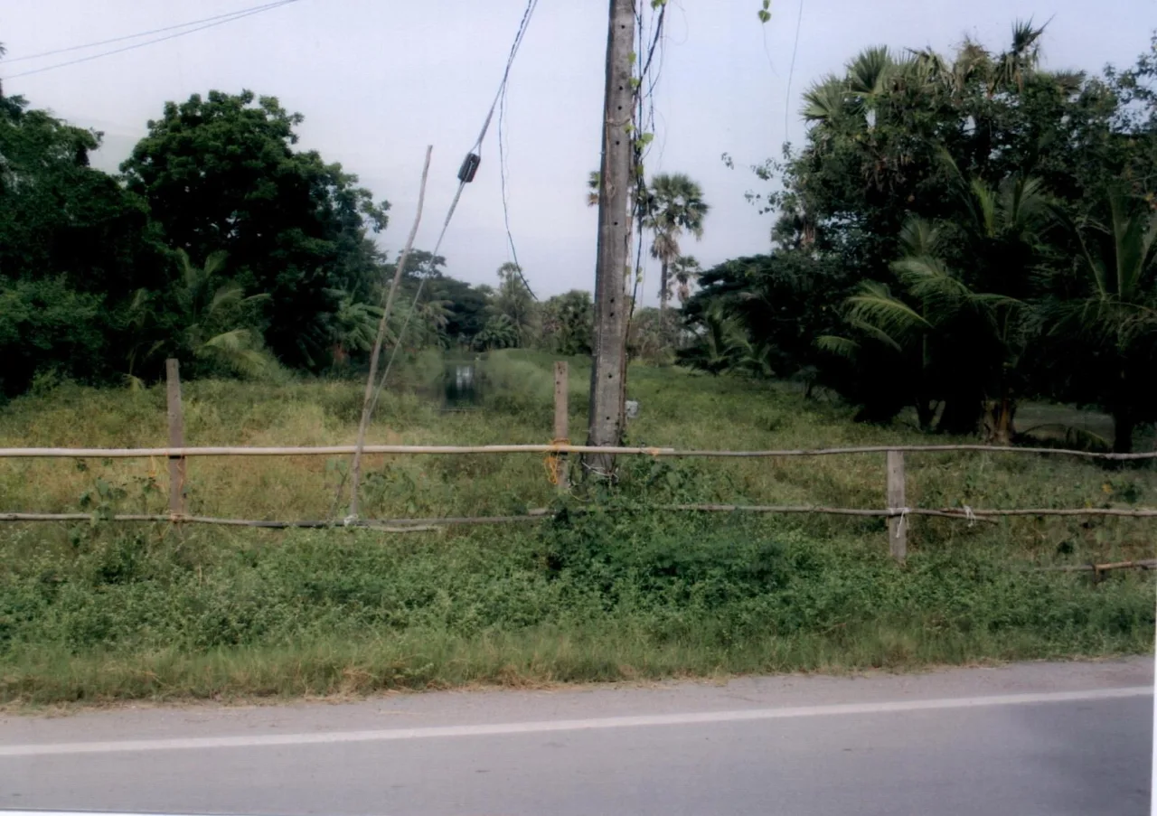 ขายทอดตลาด ที่ดินว่างเปล่า ต.พังยาง อ.ระโนด จ.สงขลา
