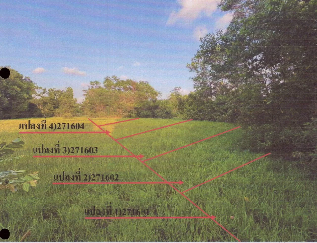 ขายทอดตลาด ที่ดินว่างเปล่า ต.คลองอู่ตะเภา อ.หาดใหญ่ จ.สงขลา