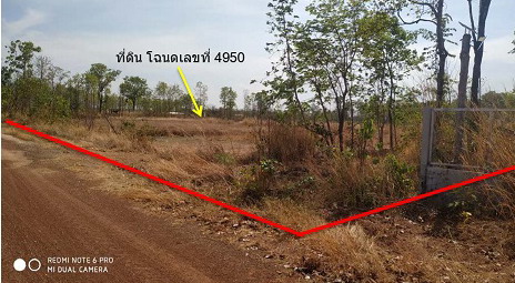 ขายทอดตลาด ที่ดินว่างเปล่า ต.นาแก้ว อ.โพนนาแก้ว จ.สกลนคร