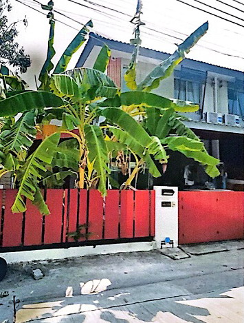 ขายทอดตลาด ที่ดินพร้อมสิ่งปลูกสร้าง ต.บางเพรียง อ.บางบ่อ จ.สมุทรปราการ