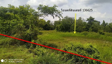 ขายทอดตลาด ที่ดินว่างเปล่า ต.ดงมะไฟ อ.เมืองสกลนคร จ.สกลนคร