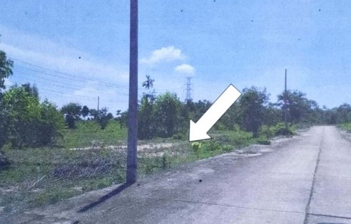 ขายทอดตลาด ที่ดินว่างเปล่า ต.น้ำรึม อ.เมืองตาก จ.ตาก