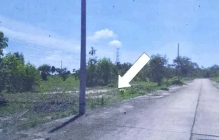 รูปทรัพย์ 1
