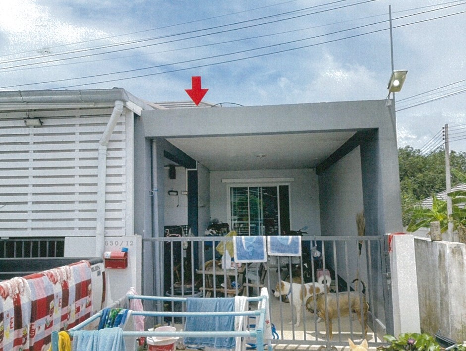 ขายทอดตลาด ที่ดินพร้อมสิ่งปลูกสร้าง ต.พนานิคม อ.นิคมพัฒนา จ.ระยอง