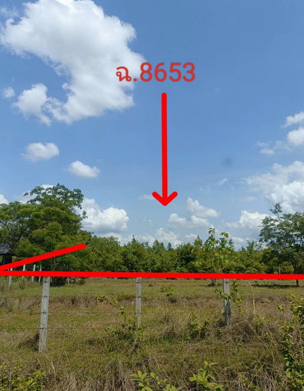 ขายทอดตลาด ที่ดินว่างเปล่า ต.นาแก้ว อ.โพนนาแก้ว จ.สกลนคร