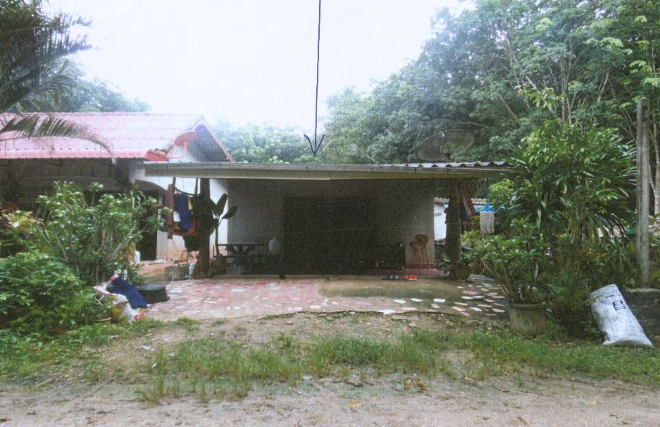 ขายทอดตลาด ที่ดินพร้อมสิ่งปลูกสร้าง ต.เขาพนม อ.เขาพนม จ.กระบี่